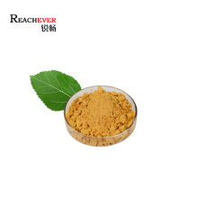 Natural Mulberry Leaf Extract Factory Supply Morus Alba Extract Powder in Wholesale Price